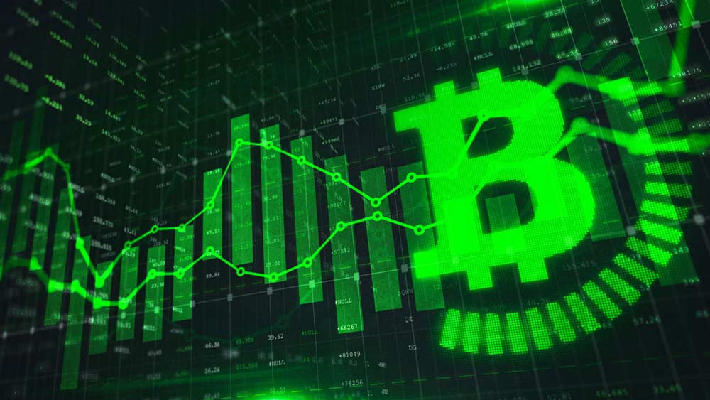 Fundamental vs. Technical Approaches: Bitcoin Investment Analysis