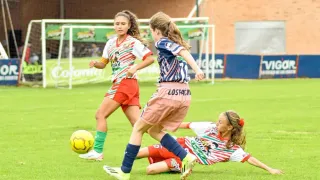 Federal Agencies Refer Minnesota to DOJ Over Transgender Girls' Participation in School Sports